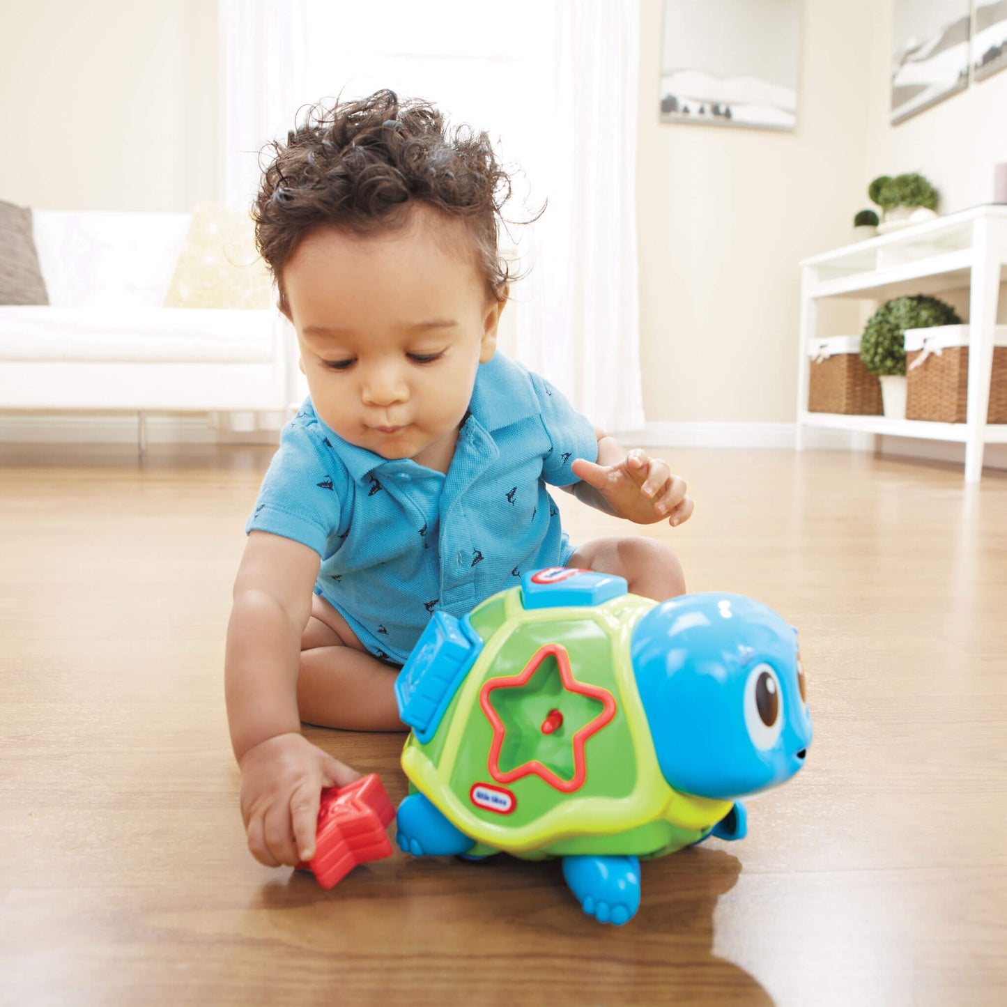 Crawl 'n Pop! Turtle - Shape Sorter & Crawling Toy | Little Tikes | Recommended