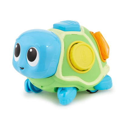 Crawl 'n Pop! Turtle - Shape Sorter & Crawling Toy | Little Tikes | Recommended
